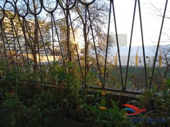 улица Калинина,31 в Ялте - yalta.yutvil.ru - фото 5 улица Калинина,31 в Ялте - yalta.yutvil.ru - фото 5