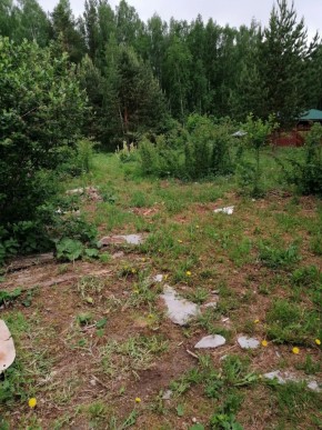СТН Семья №112, Верхняя пышма на землях бывшего подсобного хозяйтва верхнепышминского опытного завода в Ялте - yalta.yutvil.ru - фото 17 СТН Семья №112, Верхняя пышма на землях бывшего подсобного хозяйтва верхнепышминского опытного завода в Ялте - yalta.yutvil.ru - фото 17